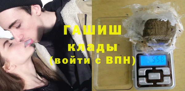 гидра Богородицк