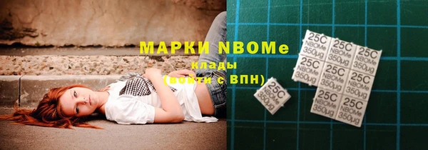 гидра Богородицк