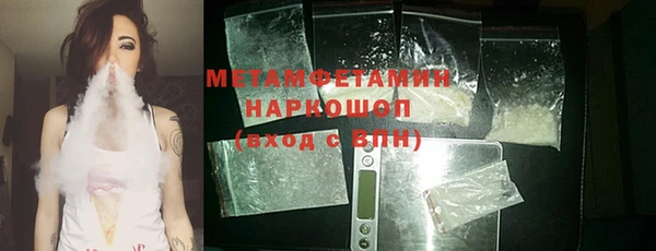 гидра Богородицк