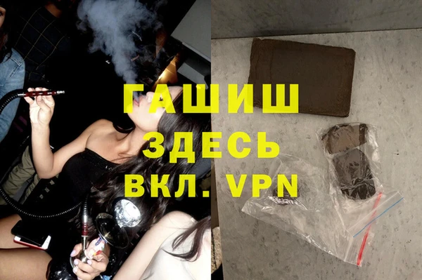гидра Богородицк