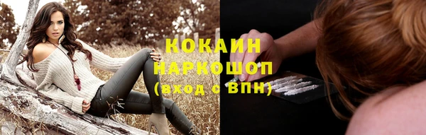 гидра Богородицк