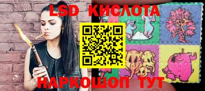 прущие крисы Шелехов