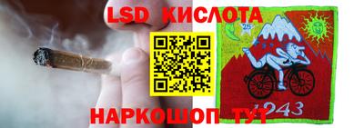 прущие крисы Шелехов