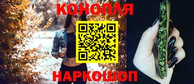 прущие крисы Шелехов