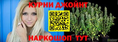 прущие крисы Шелехов